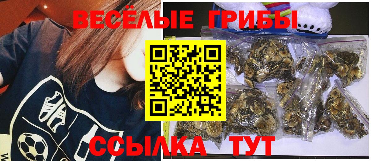 Галлюциногенные грибы GOLDEN TEACHER  Вход с VPN  Галлюциногенные грибы Cubensis  Дивногорск 