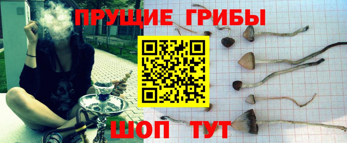 Галлюциногенные грибы GOLDEN TEACHER Дивногорск